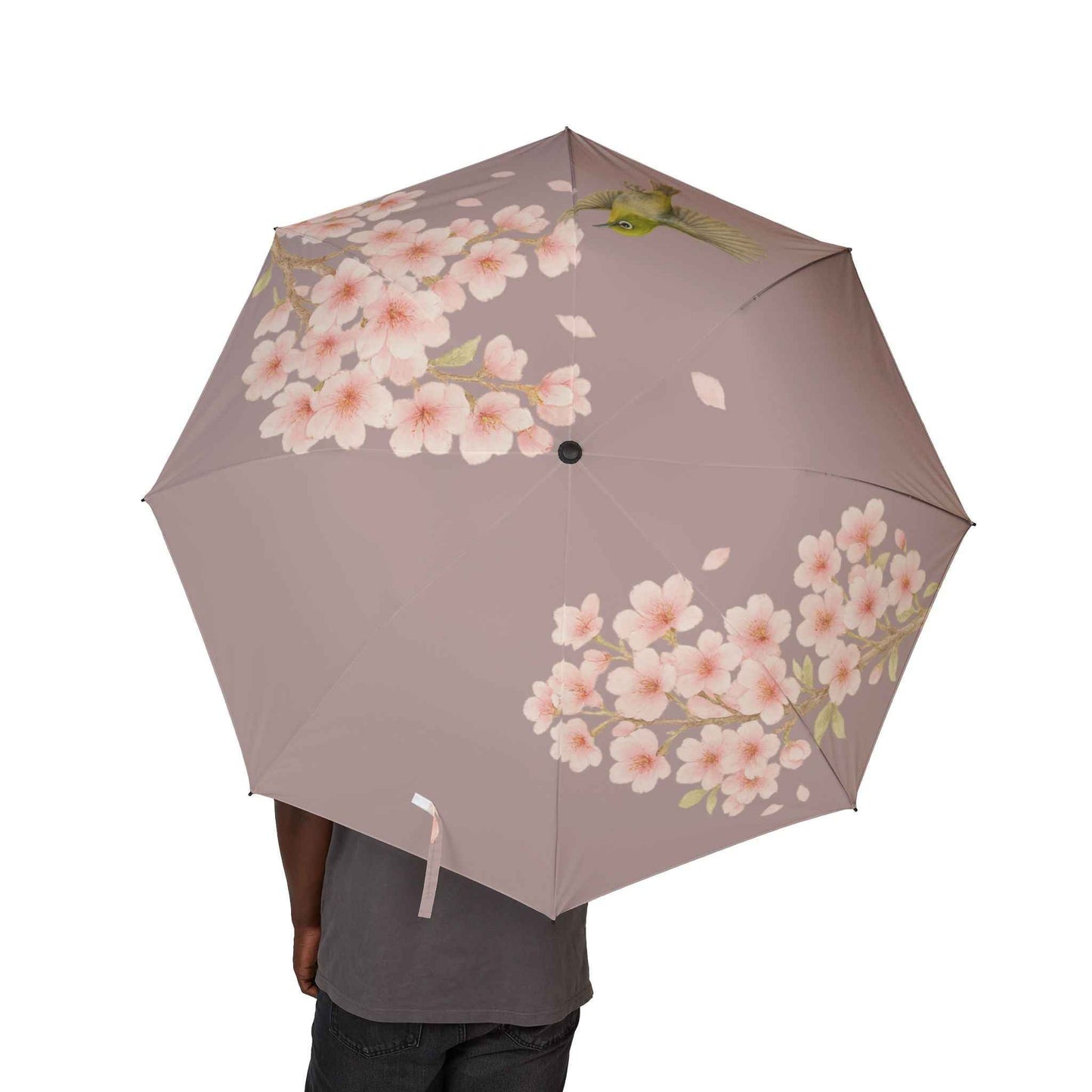 Blossom Grace Folding Umbrella (pink) Cherry Blossoms and Japanese White-Eye | Lightweight and Elegant by IROHA studio