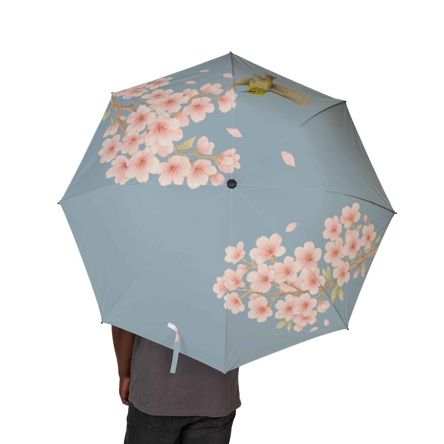 Blossom Grace Folding Umbrella (blue) Cherry Blossoms and Japanese White-Eye Lightweight and Elegant by IROHA studio