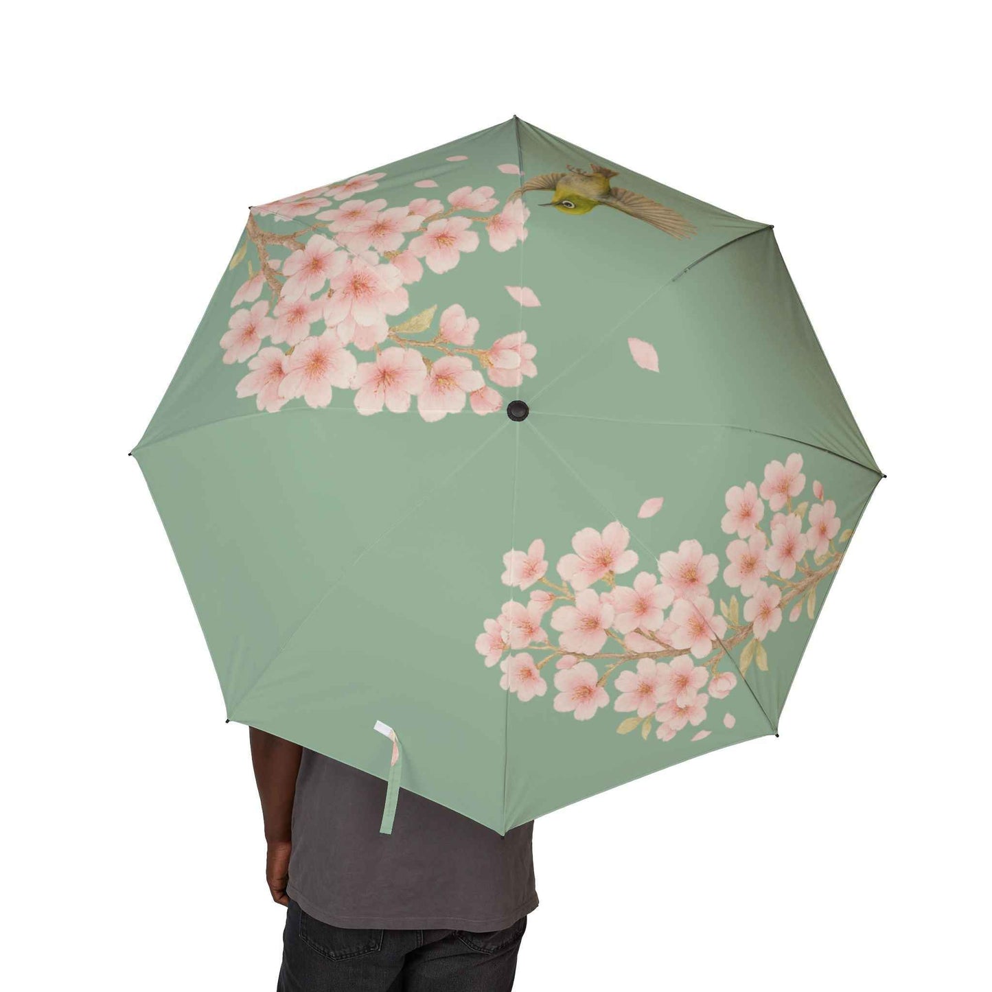 Blossom Grace Folding Umbrella (green) Cherry Blossoms and Japanese White-Eye Lightweight and Elegant by IROHA studio