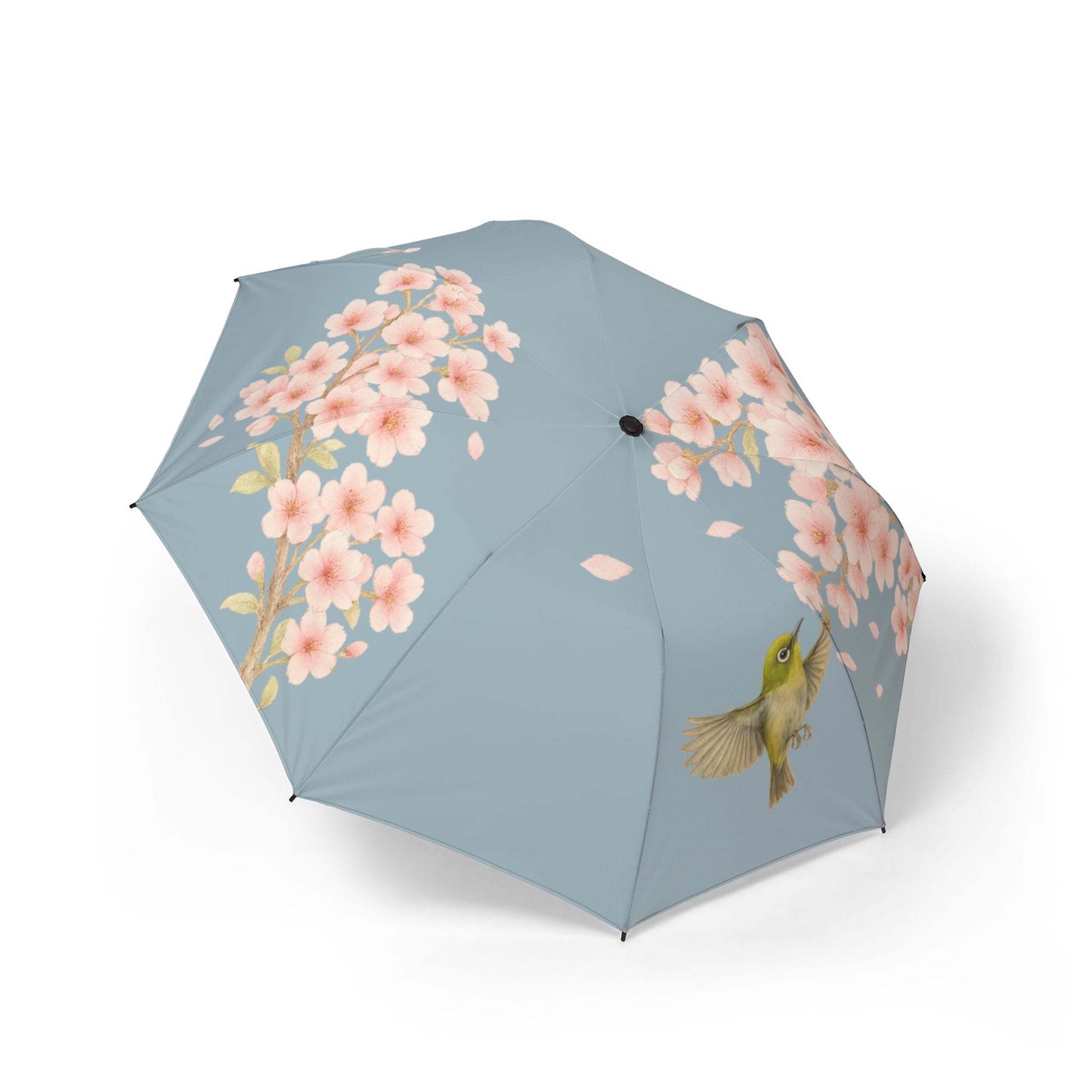 Photo of Blossom Grace Folding Umbrella (blue) Cherry Blossoms and Japanese bird Lightweight and Elegant from IROHA-STUDIO