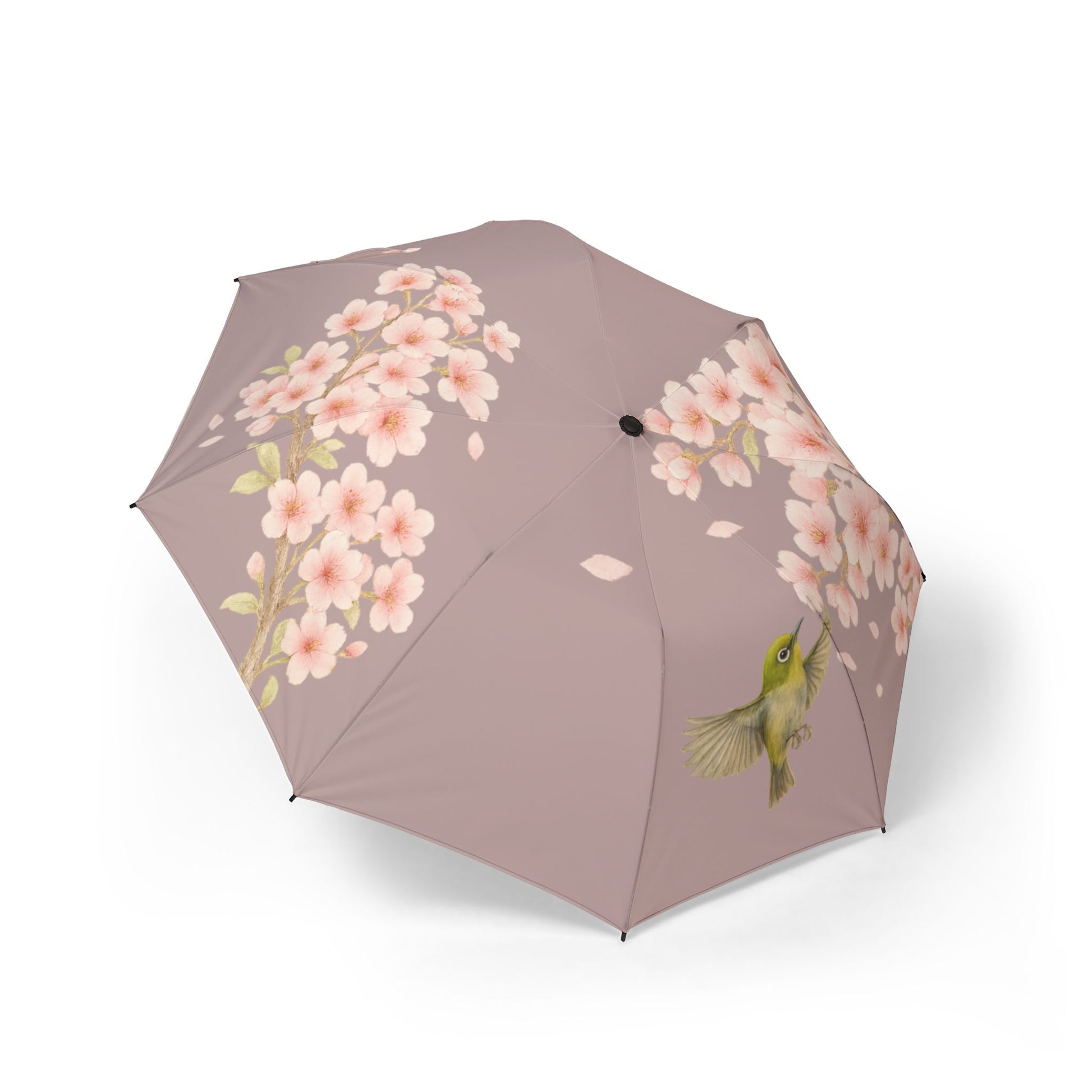 Photo of Blossom Grace Folding Umbrella (pink) Cherry Blossoms and Japanese Bird | Lightweight and Elegant from IROHA-STUDIO