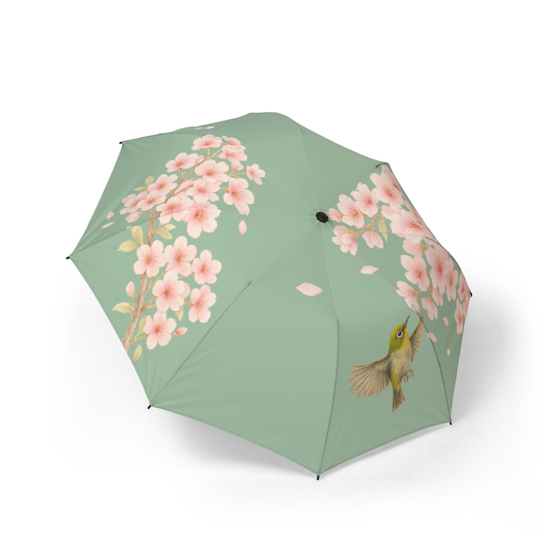 Photo of Blossom Grace Folding Umbrella (green) Cherry Blossoms and Japanese Bird Lightweight and Elegant from IROHA-STUDIO